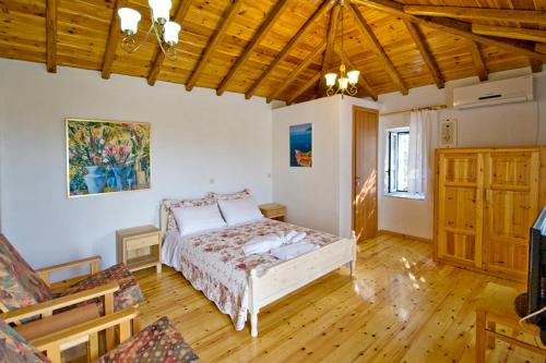 Villas Zoe - image 4