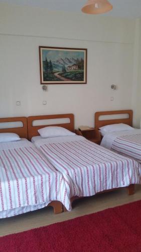 Filareti Hotel - image 10