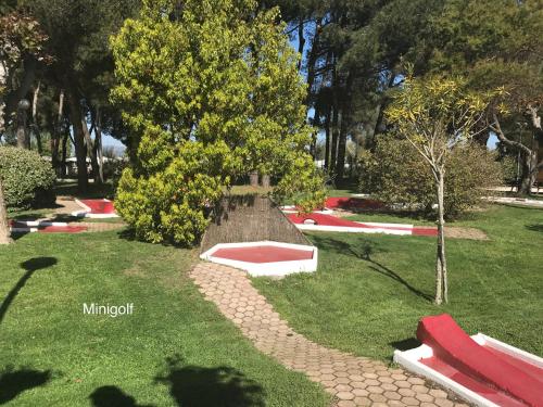 Hotel Club Le Plein Sud Vacances Bleues - image 6