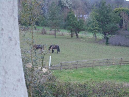 Ballynona House in Мелоу