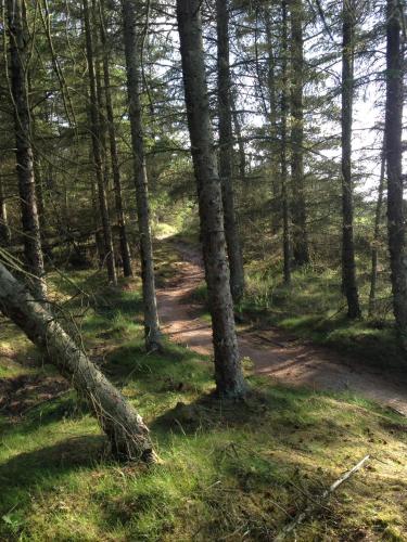 Hostel Idrætscenter Jammerbugt - image 4