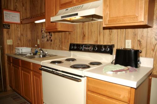 Carolina Landing Camping Resort Luxury Cabin 8 - image 3