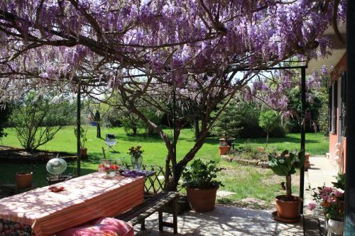  Otium B&B in Cavallirio