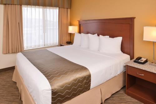 Best Western Executive Inn & Suites