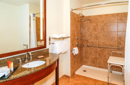 King Suite - Mobility Access/Roll-In Shower