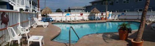 Swimming pool, Blue Wave Inn - Ocean City near De Lazy Lizard Brew Pub