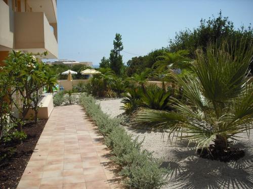 Summer Memories Aparthotel - image 6