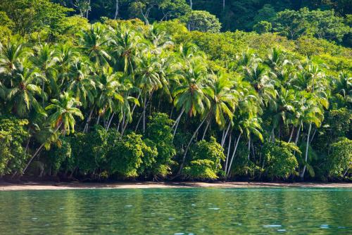 Playa Nicuesa Rainforest Lodge