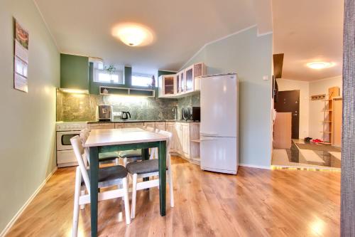 Toompuiestee Penthouse with Sauna, Tallinn (photo 4)