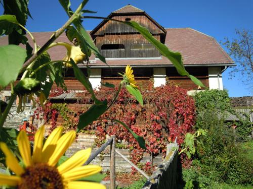 Gästehaus Biobauernhof Mandl