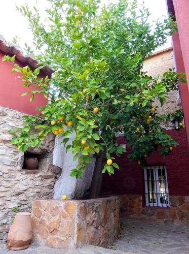 Iekārtas, Casa Rural La Perra Gorda in Zorita