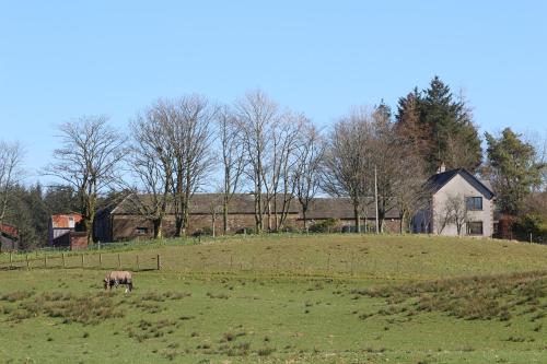 外部景觀, 珊登農舍住宿加早餐旅館 (Shandon Farmhouse Bed and Breakfast) in 德里門
