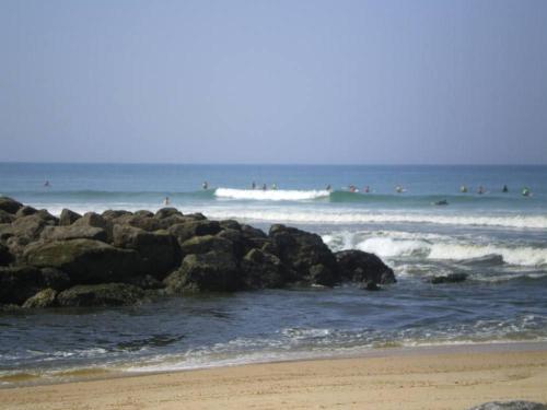 Golf Ocean