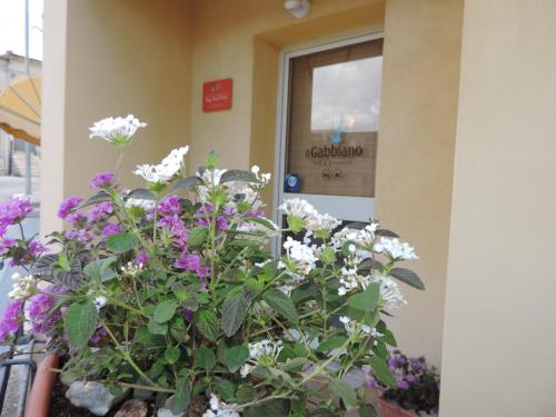 B&B Il Gabbiano Donnalucata chambre d'hôte Donnalucata