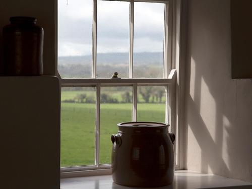 View, Kilgraney House in Bagenalstown