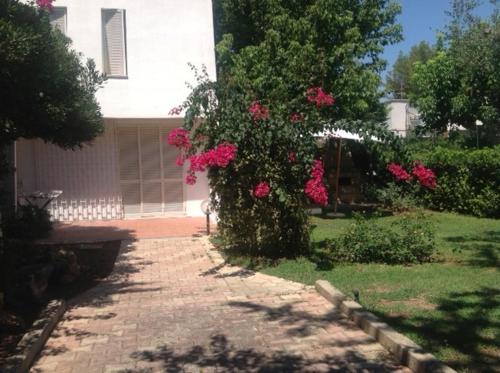 Casa Vacanze Turchese 1
