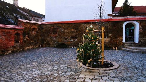 Kap Café - image 3