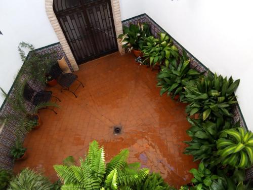 La Posada de Manolo - image 5
