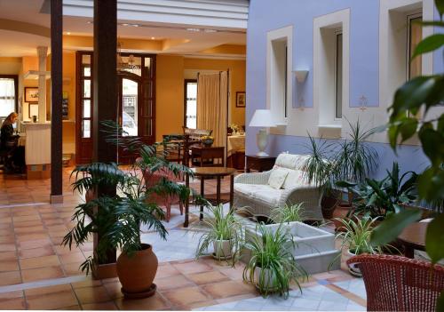 Hotel Veracruz - image 8