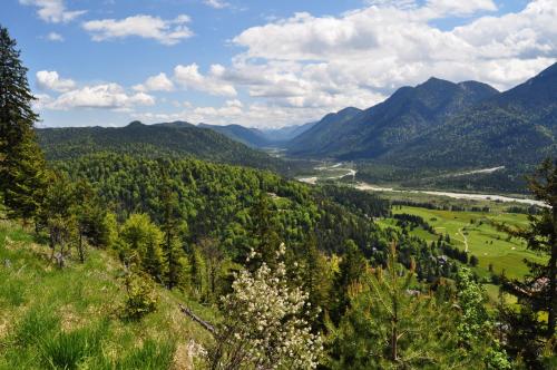 阿尔卑斯玫瑰公寓 阿尔卑斯玫瑰公寓