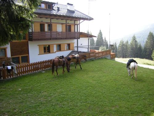 Hotel Piccolo Pocol