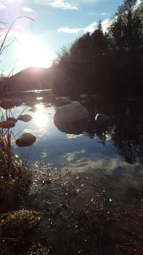 Sequoia Riverfront Cabins - image 2