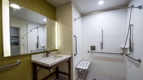 King Room with Roll-In Shower - Handicap Access/Non-Smoking
