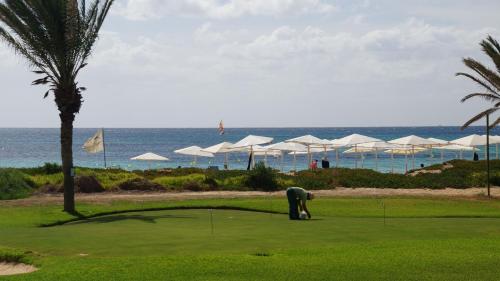 This photo about SunConnect Delfino Beach Resort & Spa shared on HyHotel.com