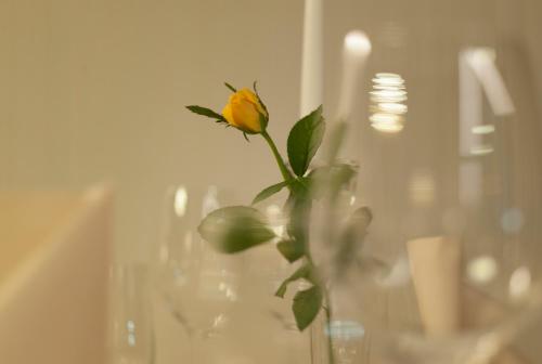 WELLNESS HOTEL LÖWE - image 11