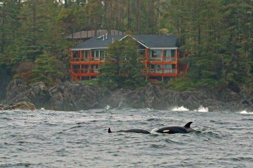 Melfort Bell Guest Suites Ucluelet