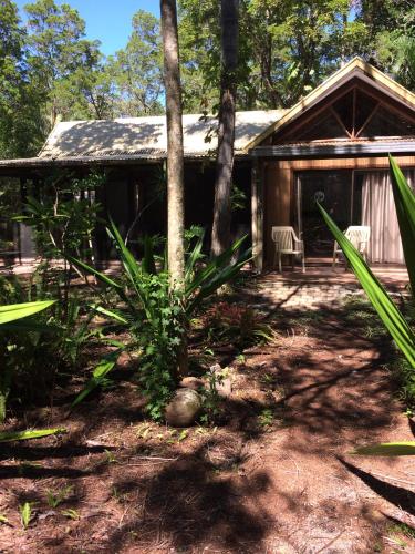 Byron Bay Rainforest Resort - image 4