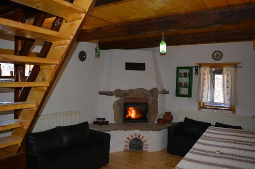 Cabana Logolda in Cavnic