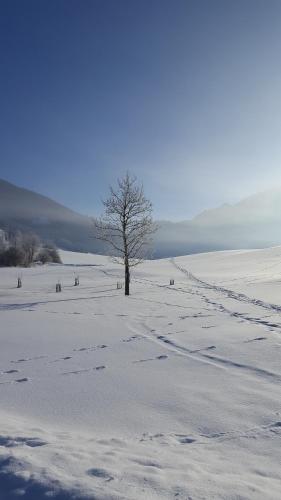 St Lukas Apartments - image 4