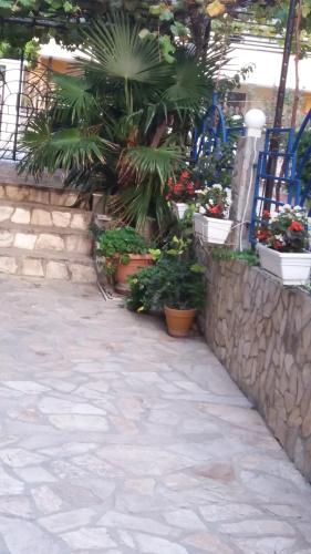 Exotic Guest House - image 12