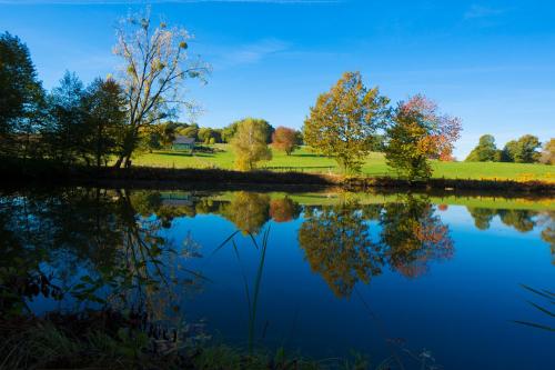 Etoile de Pompadour - image 11
