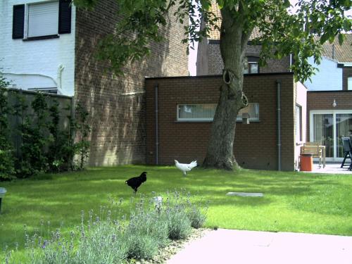  B&B Bij d'n Ollander, Unterkunft in Wervik