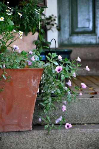 Villa Sjötorp Hotel