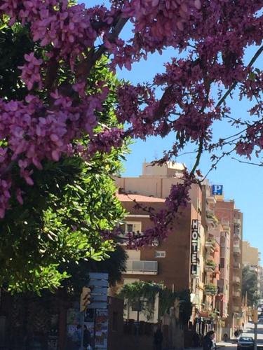 Hotel Cosmos Tarragona, Tarragona bei Pobla de Montornés