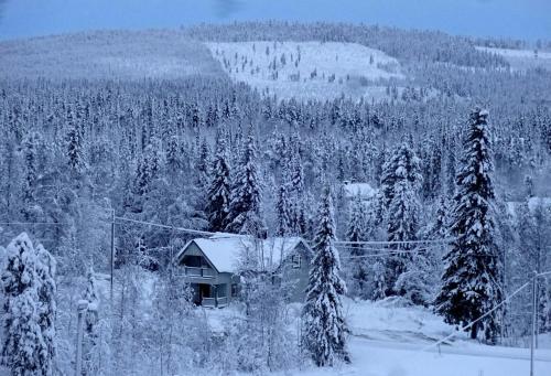 Apkārtne, Lapland Snow Cabin in Vittangi