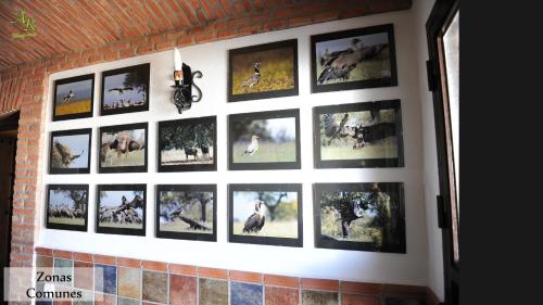 Apartamentos Rurales Monfragüe