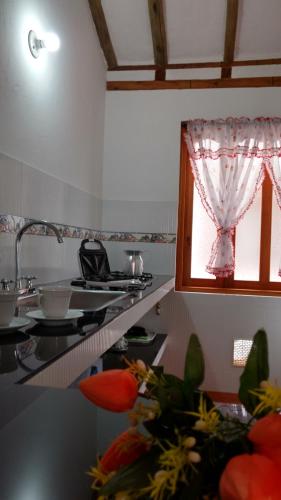 Kitchen, Apartahotel La Gran Familia in Villa De Leyva