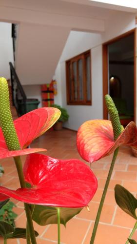 Apartahotel La Gran Familia in Villa De Leyva