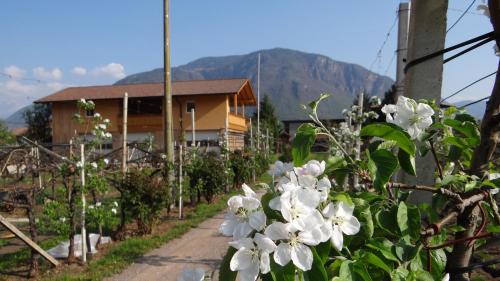  Urbanhof Prantenberger, Pension in Bozen