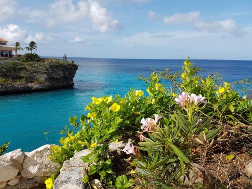 Bon Bini Lagun Curacao