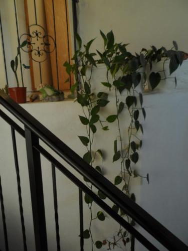 卡瑟纳苏珊娜酒店