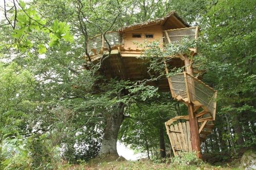 LES CABANES DANS LES ARBRES DE CALUCHE