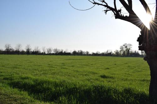 Agriturismo Cà Del Lupo