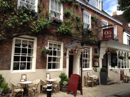 The Old Vine, , Hampshire