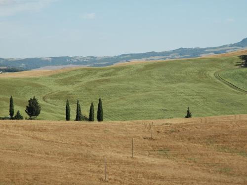 Modern Farmhouse in Pienza with Pool