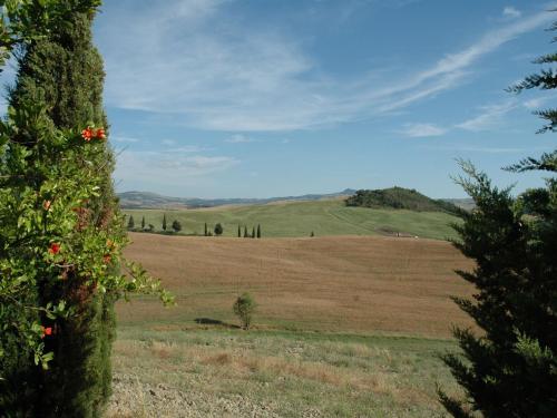 Modern Farmhouse in Pienza with Pool